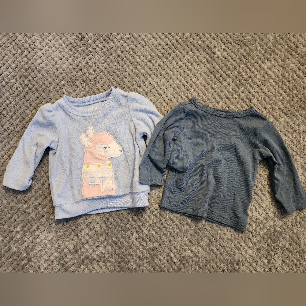 Kids Llama Graphic Sweatshirt and Solid Top Set - Blue and Gray